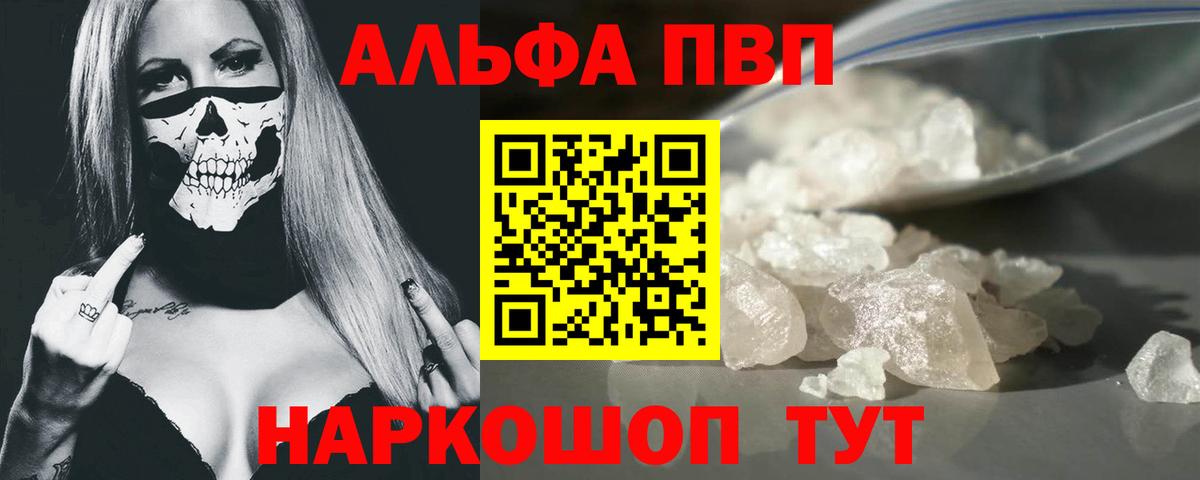 A PVP СК Гатчина