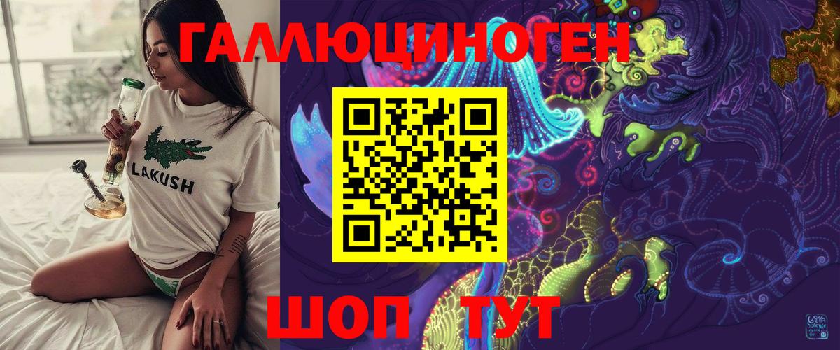 Псилоцибиновые грибы Psilocybe Гатчина